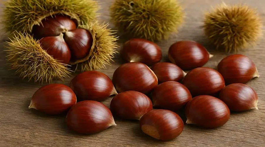 Castagne: il tesoro d’autunno tra storia, tradizioni e mille ricette umbre